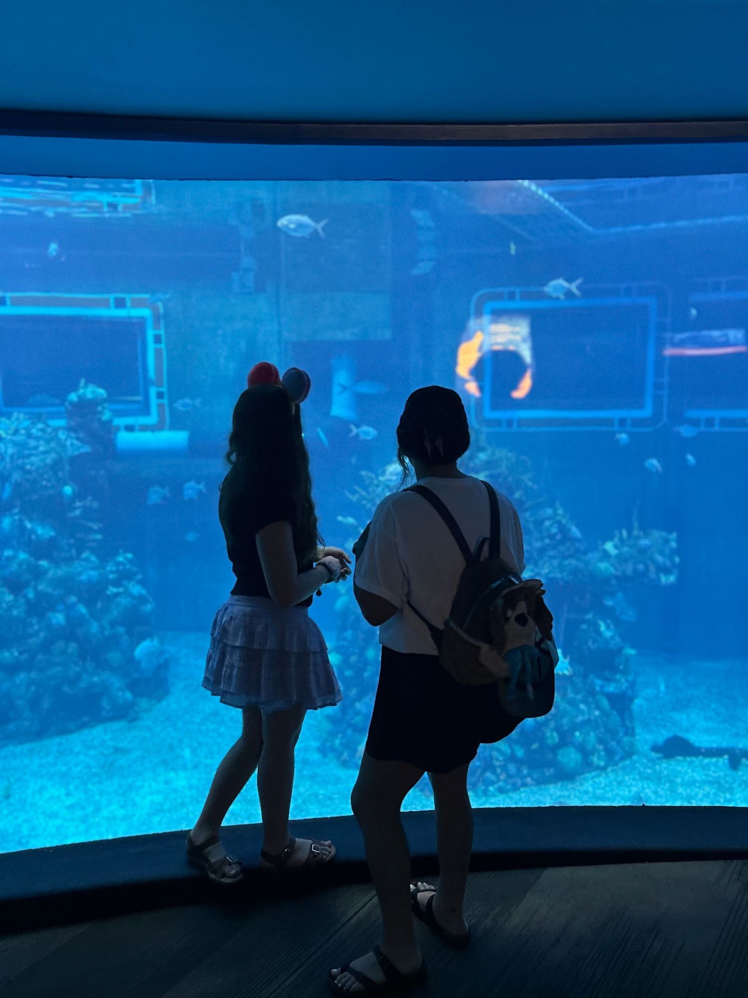 theme park nannies
dream nannies