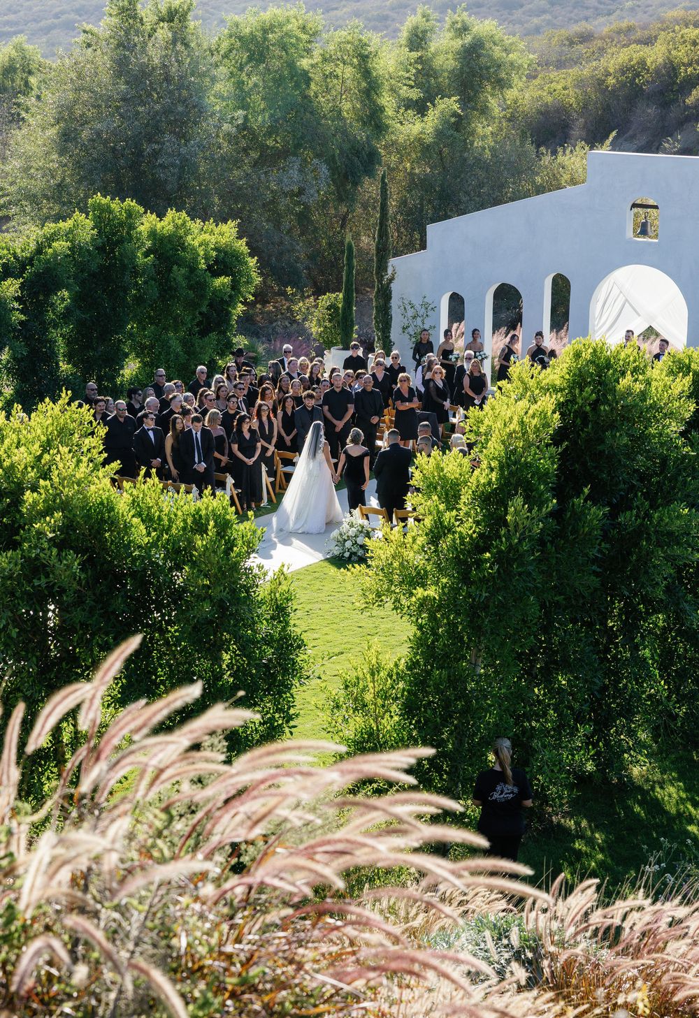 Outdoor wedding ceremony with guests seated among lush greenery and ornamental grasses.