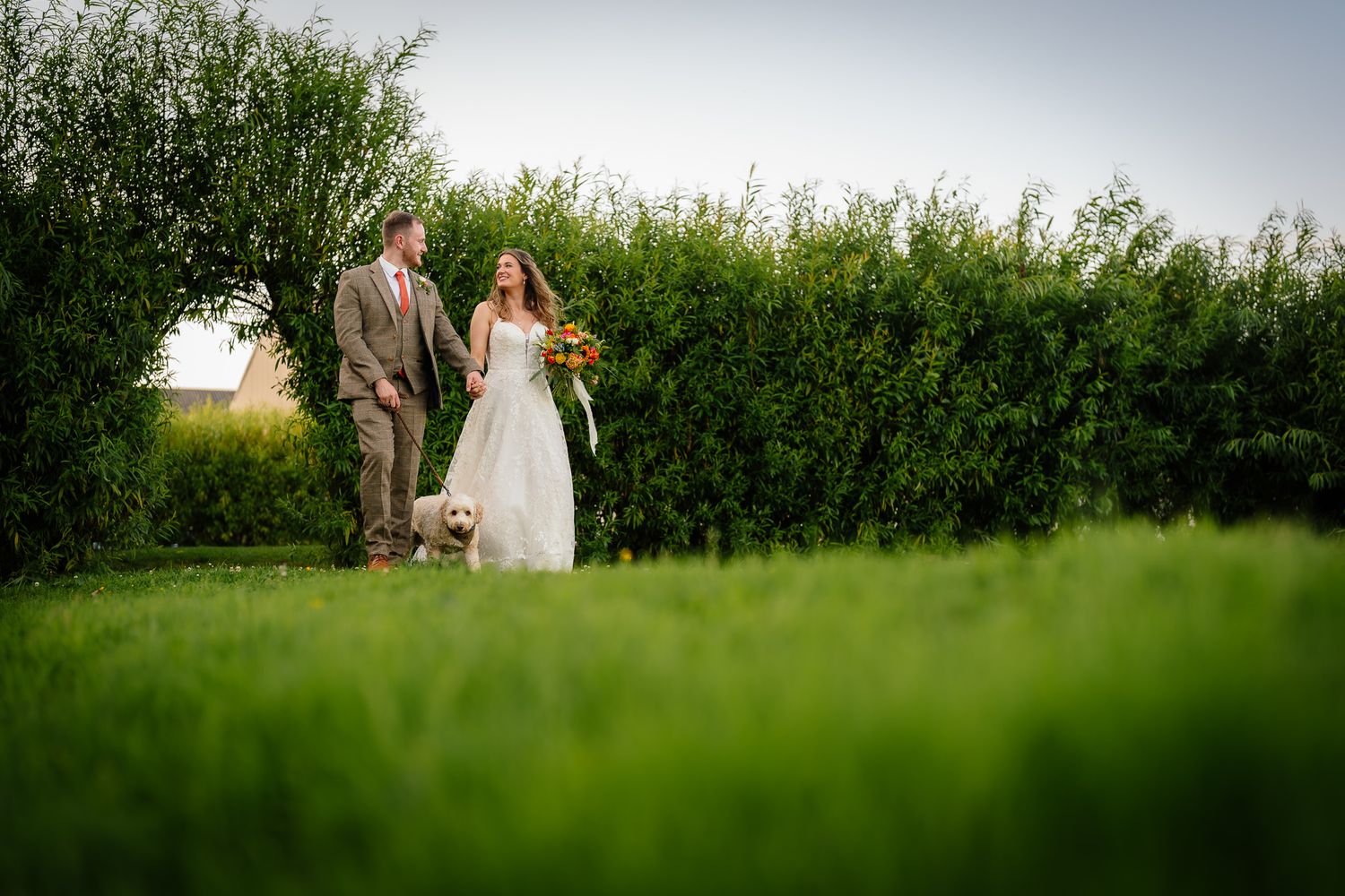 Wedding couple walks together through a lush green field on their special day as the sun sets in the distance.