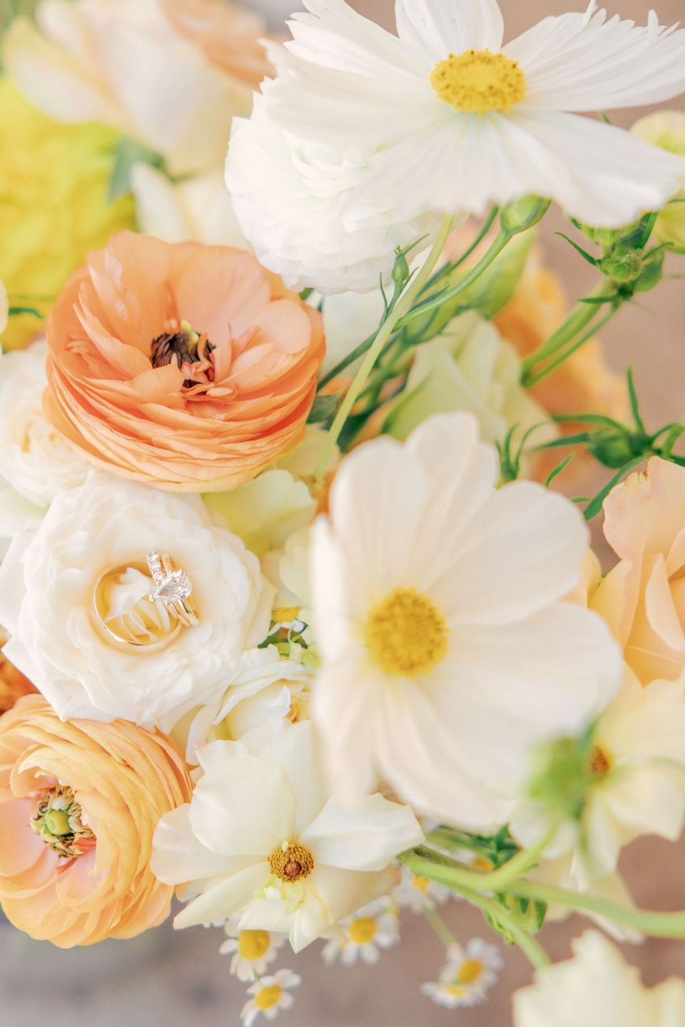 A delicate arrangement of peach ranunculus and white daisies with small bees gathering nectar from the blooms.