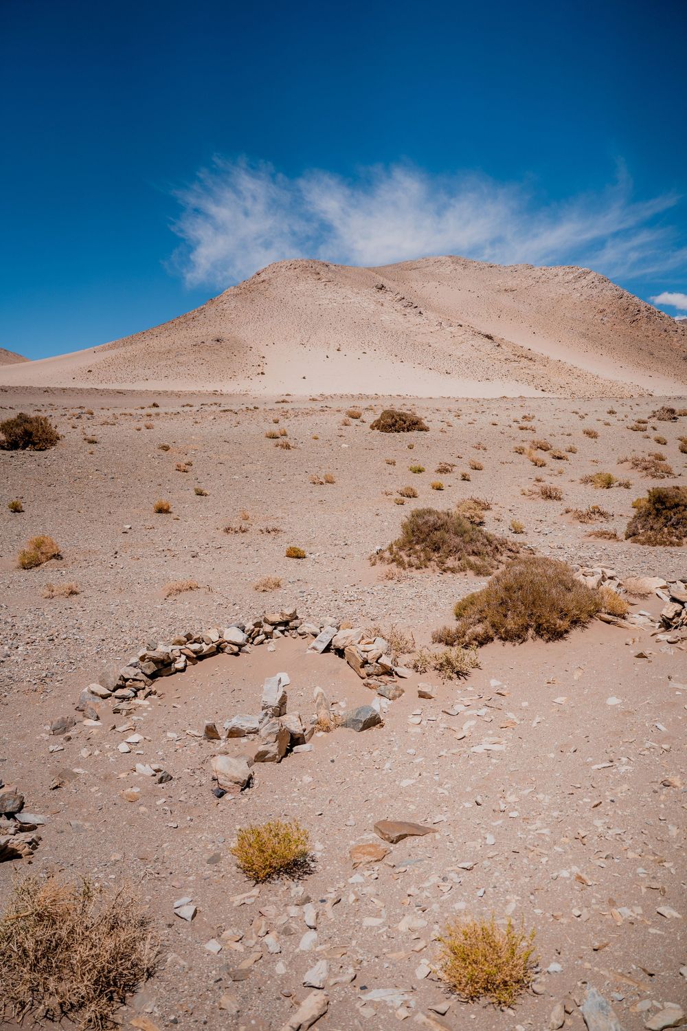 Desert landscape with sparse vegetation and rocky terrain under bright blue sky stretches across barren hills.