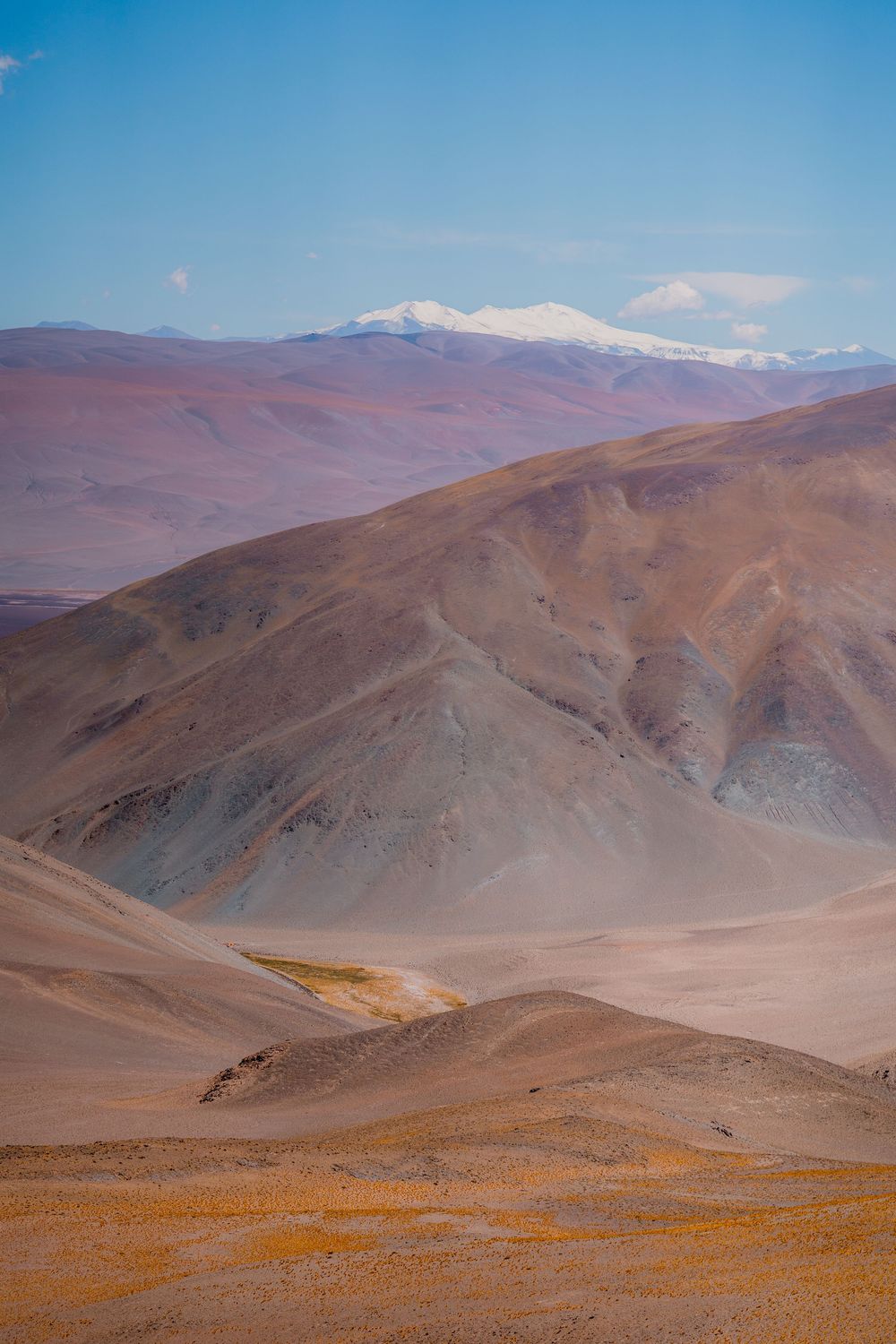 Snow-capped mountains rise above colorful desert hills in an arid landscape under bright blue skies.