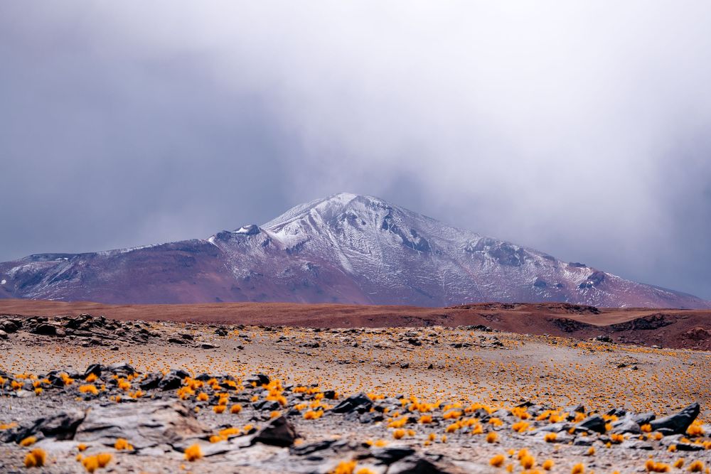 A panoramic view of snow-capped mountains and rocky terrain in the Atacama Desert of Chile.