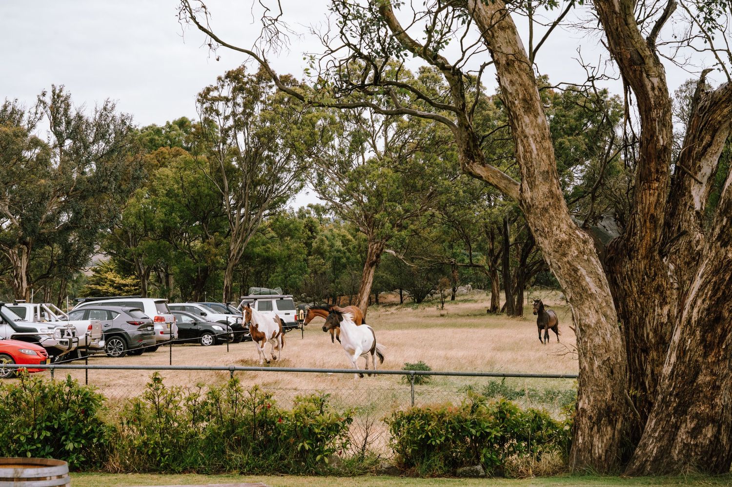 A tender outdoor wedding moment captured under trees with floral decorations.