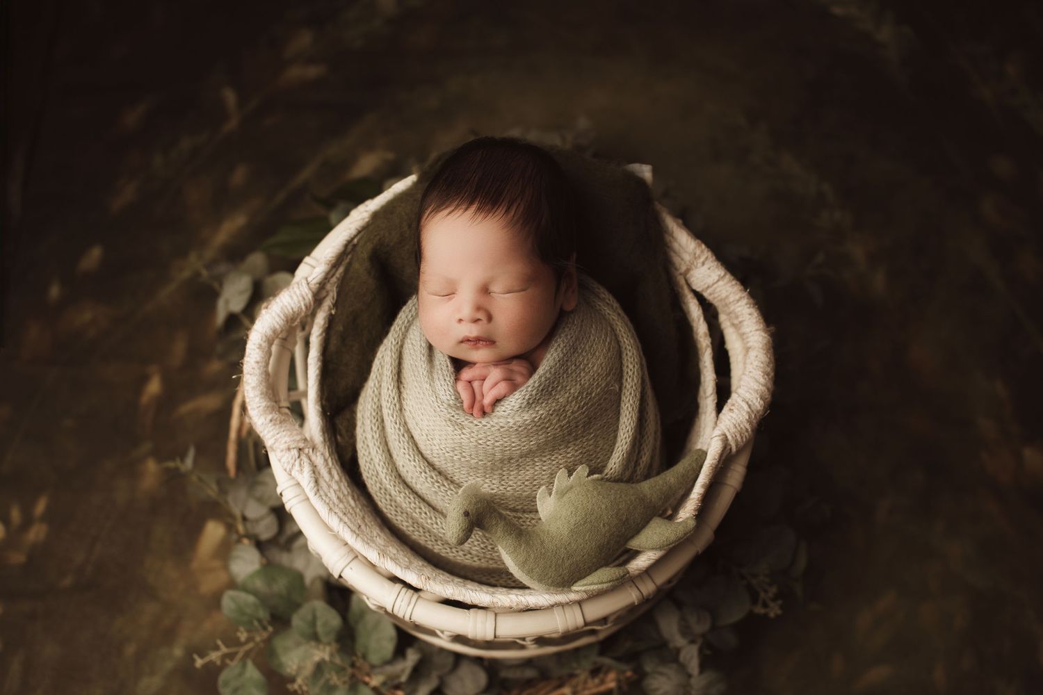 Newborn wrapped in sage green, nestled in a white basket against a dark background — captured by Palmerston North Professional Photographer