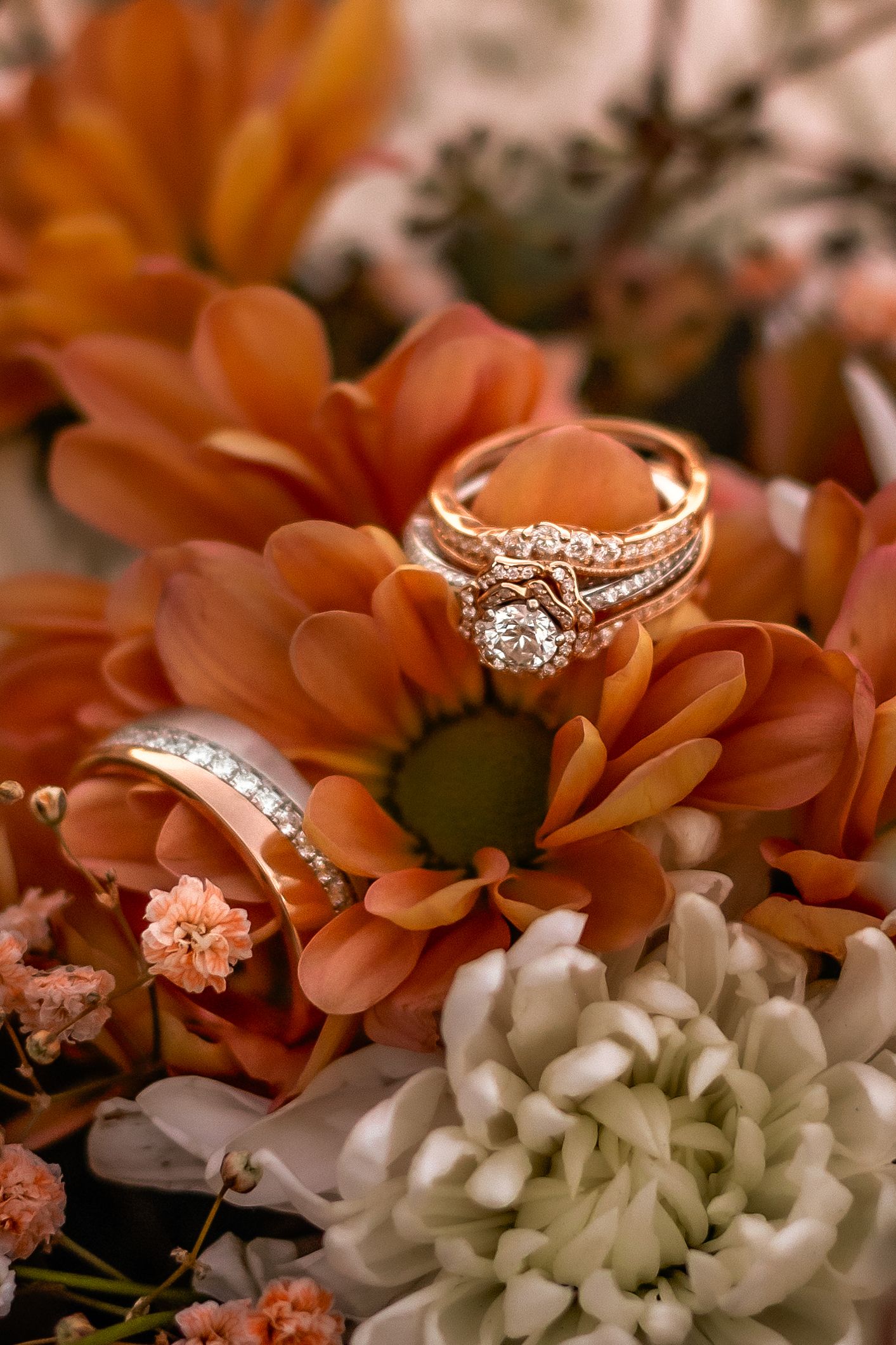 Wedding rings nestled among orange and white flowers in romantic macro photography.