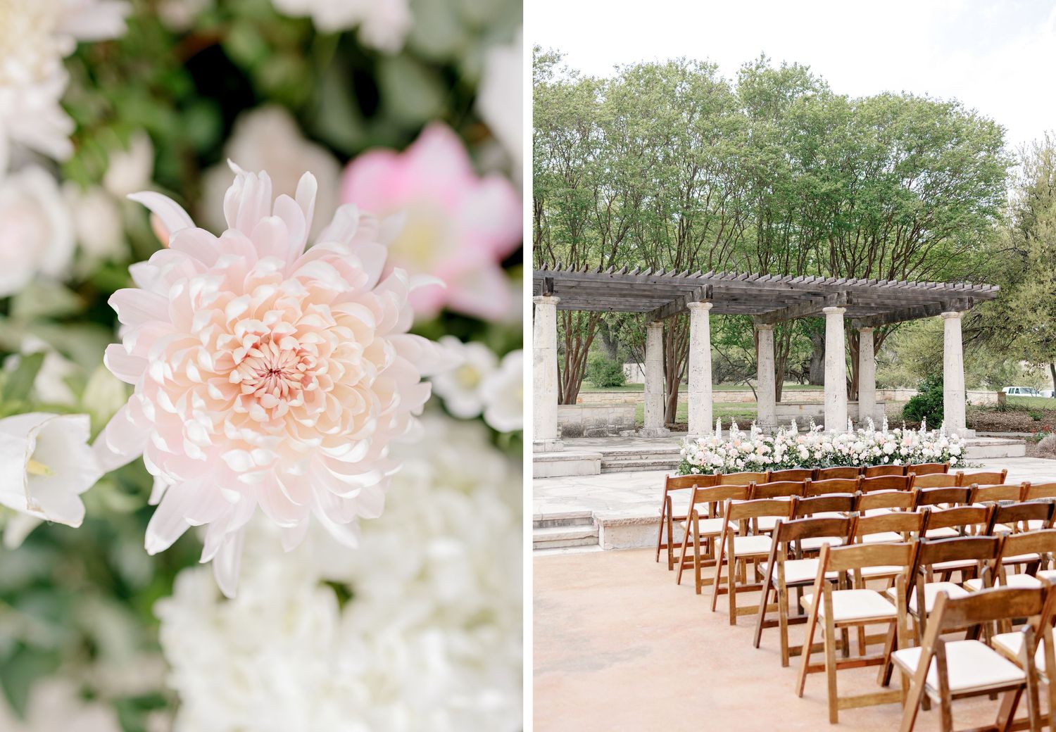A side by side image of a soft pink dahlia bloom and wooden chairs set up for an outdoor wedding ceremony.