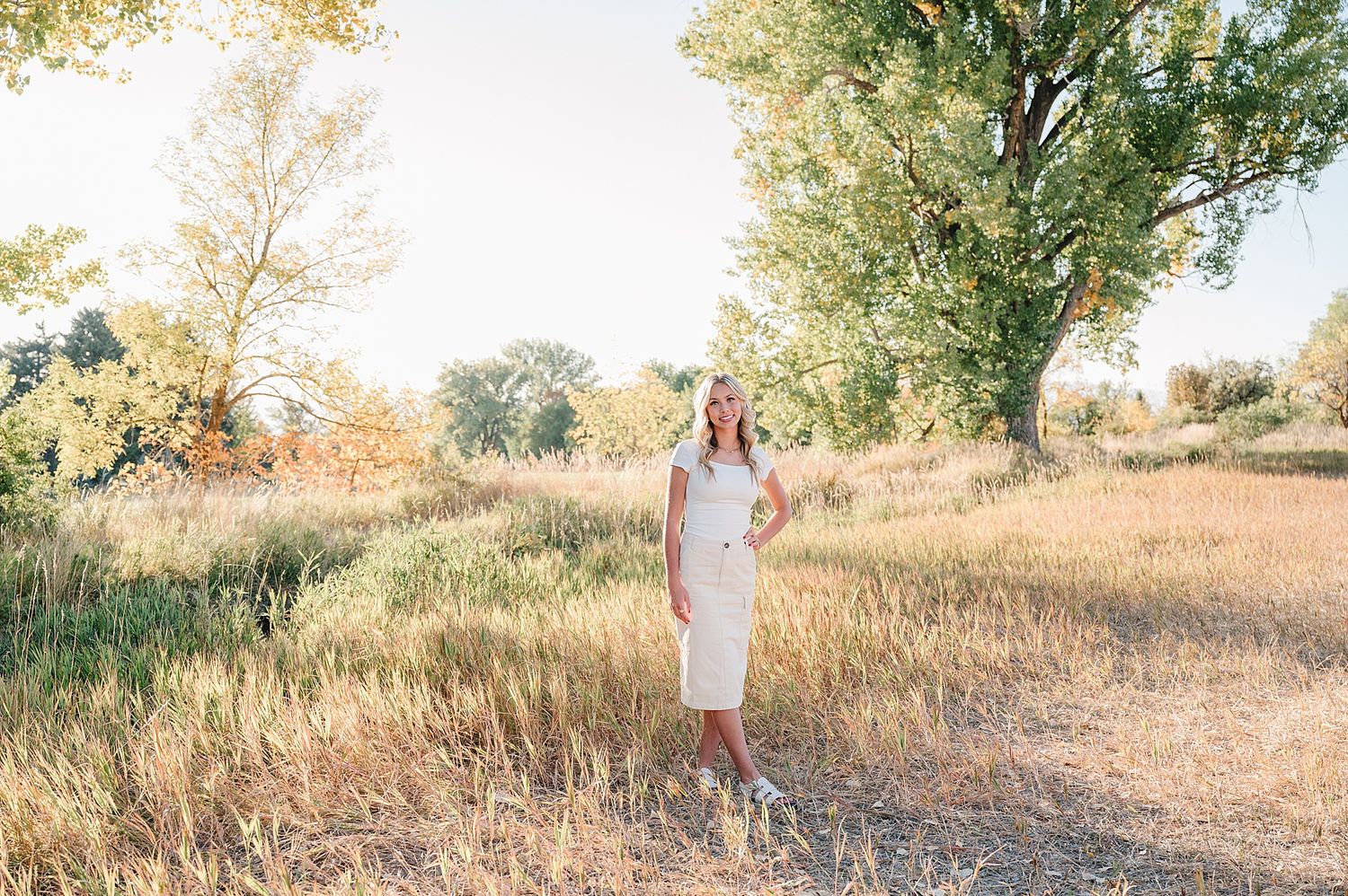 A figure stands in a sunlit meadow with tall golden grass and trees during a warm afternoon.