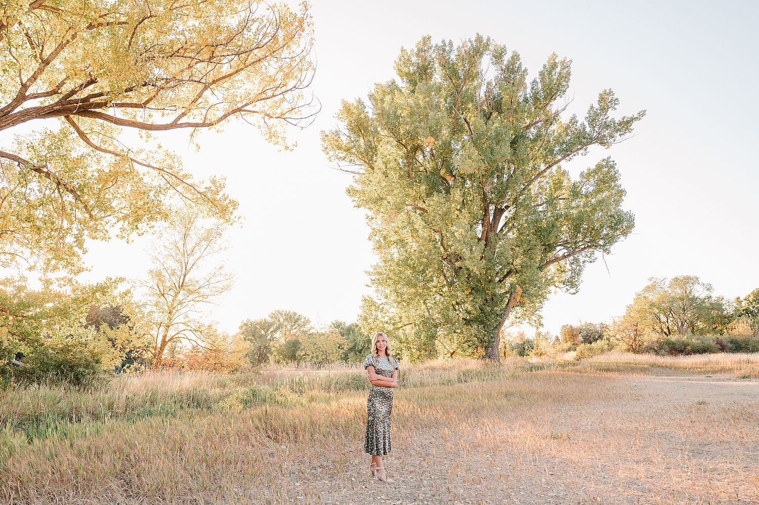 Figure stands in a golden field at sunset with large trees creating a dreamy natural backdrop.