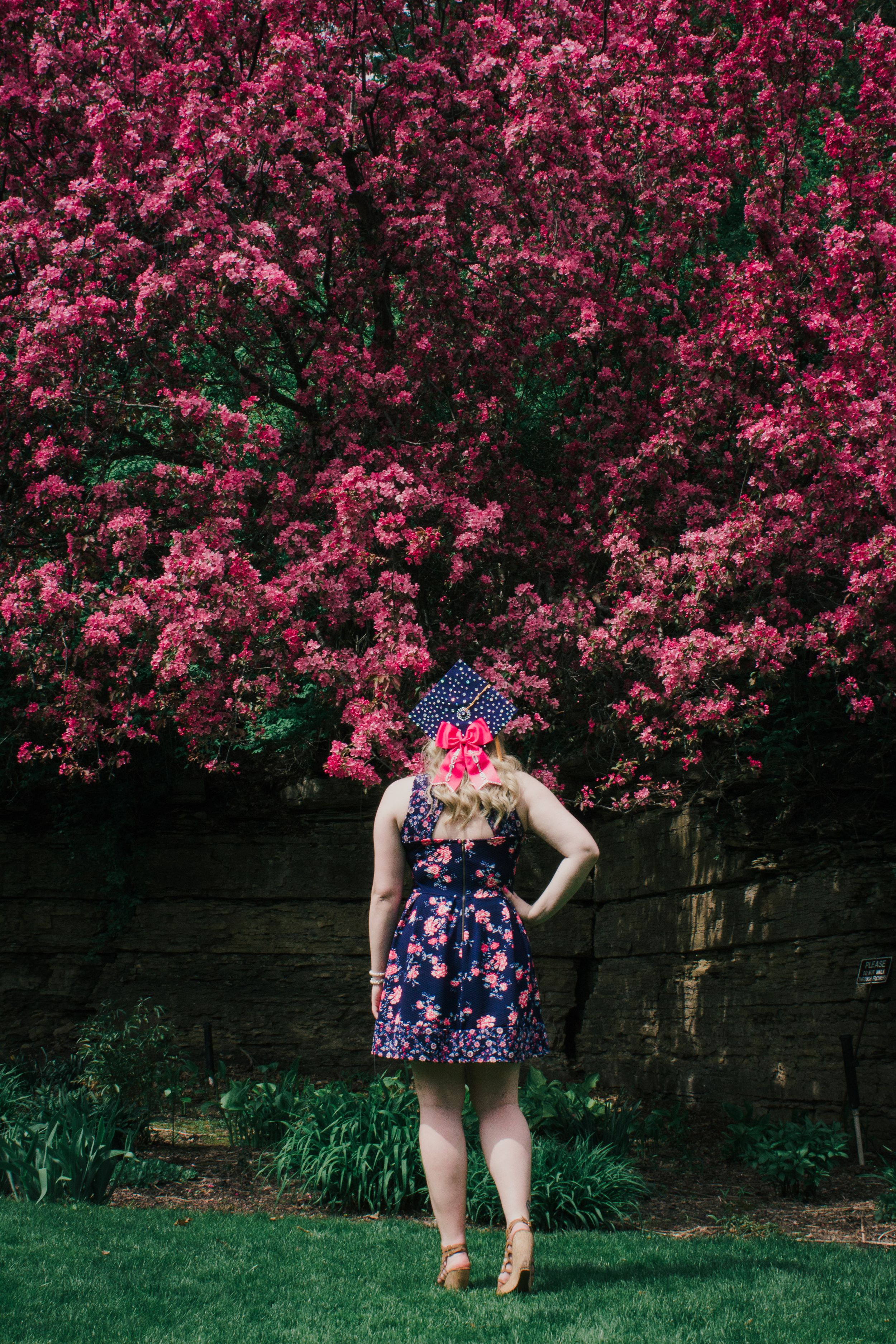 A whimsical spring portrait against blooming pink cherry blossoms.