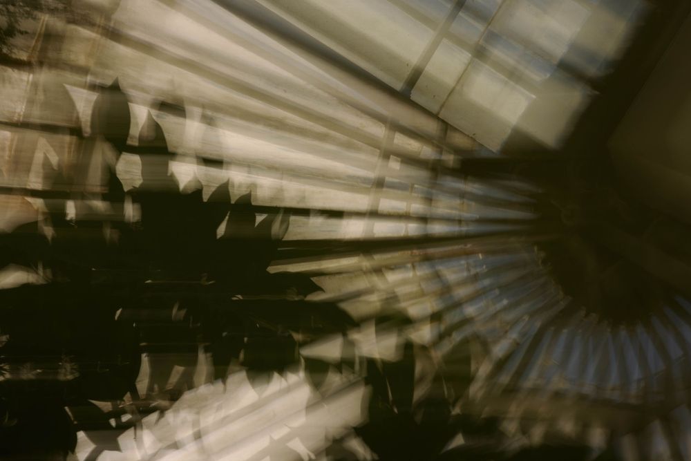 Abstract shadow pattern of palm fronds with dramatic light rays filtering through creating geometric shapes and silhouettes.