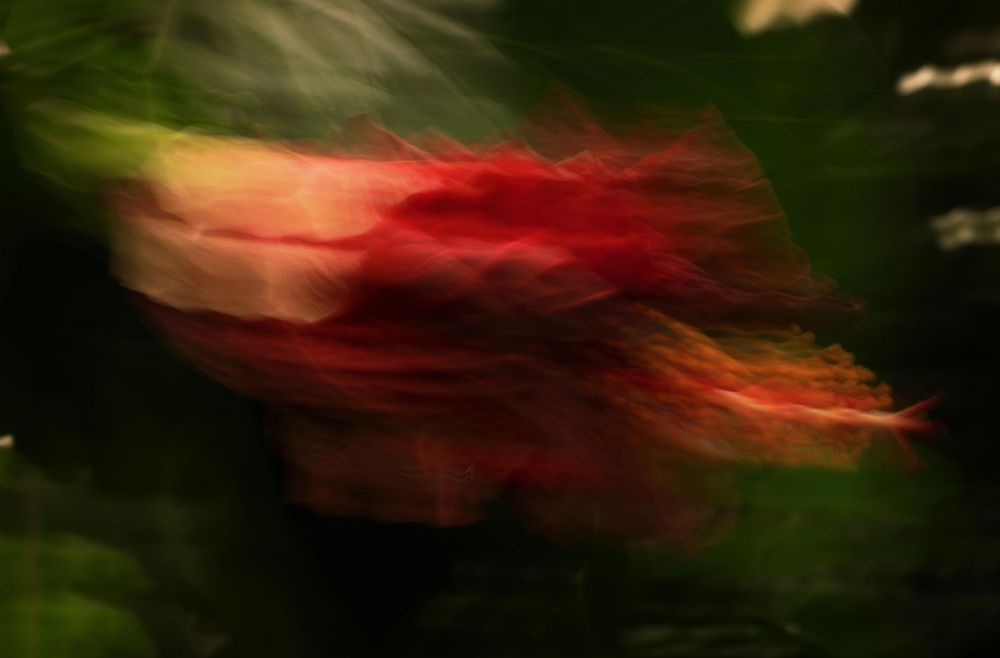 Abstract blurred photograph showing a red streak against a dark green background, creating a motion-like effect.