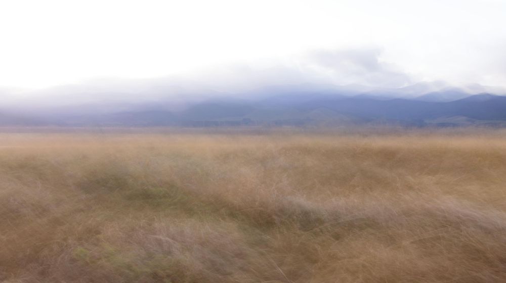 A misty landscape with golden grass fields stretching toward distant mountains under cloudy skies.