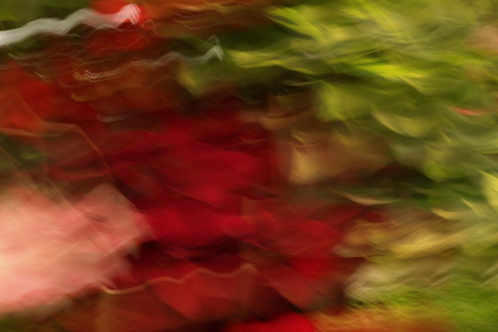 Abstract artistic photograph showing blurred motion of red and green colors creating a dynamic painterly effect.
