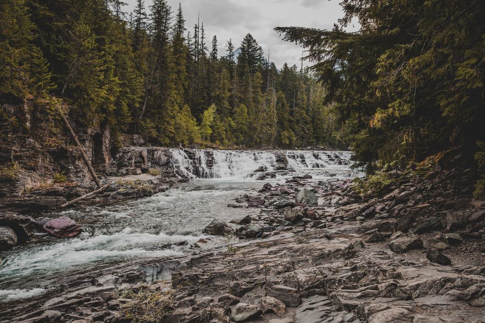 Rushing waterfall cascading over rocky terrain through a dense evergreen forest in the wilderness. Going to the Sun Road.