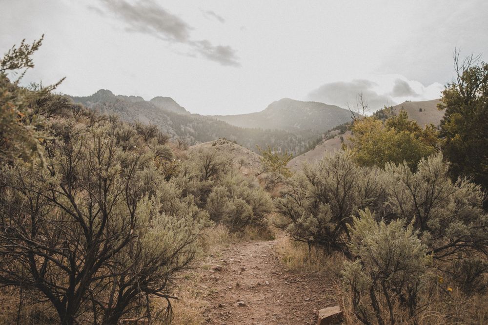 A desert trail winds through sagebrush toward distant mountains at sunset.