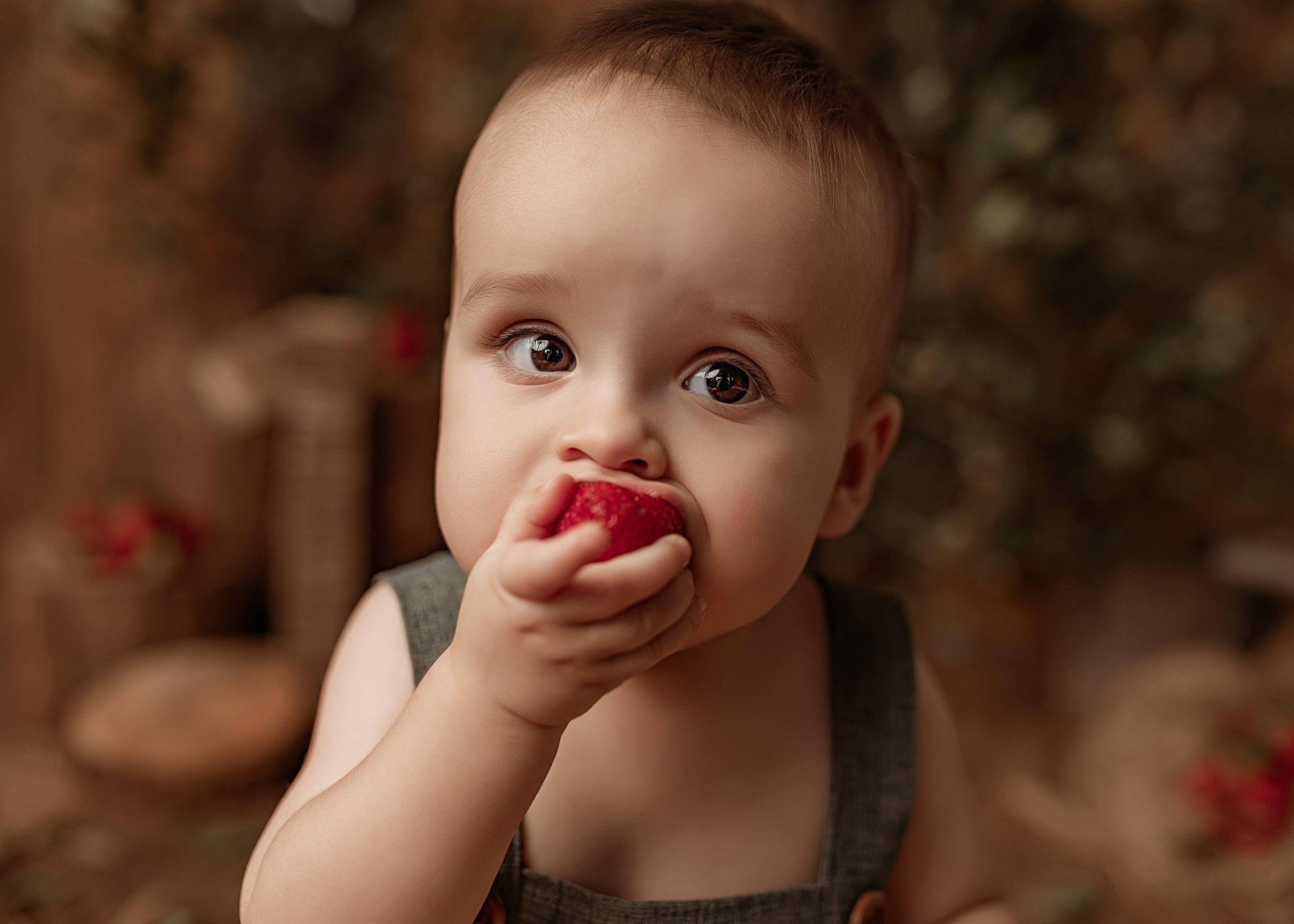 Baby sitting in dark overalls holds a small ripe tomato up to their mouth in a gentle portrait setting.