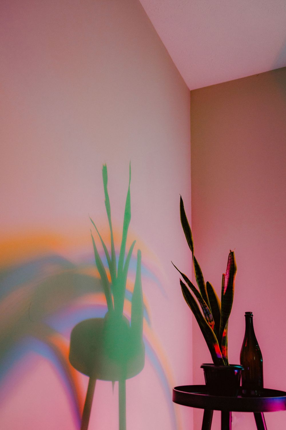 personal photography and digital media art