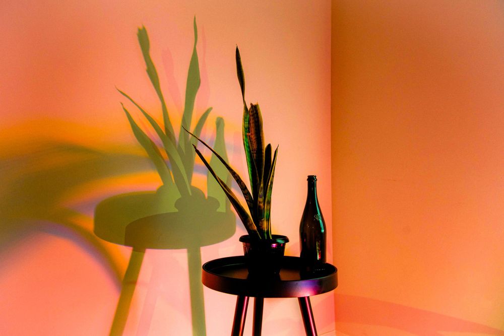 personal photography and digital media art