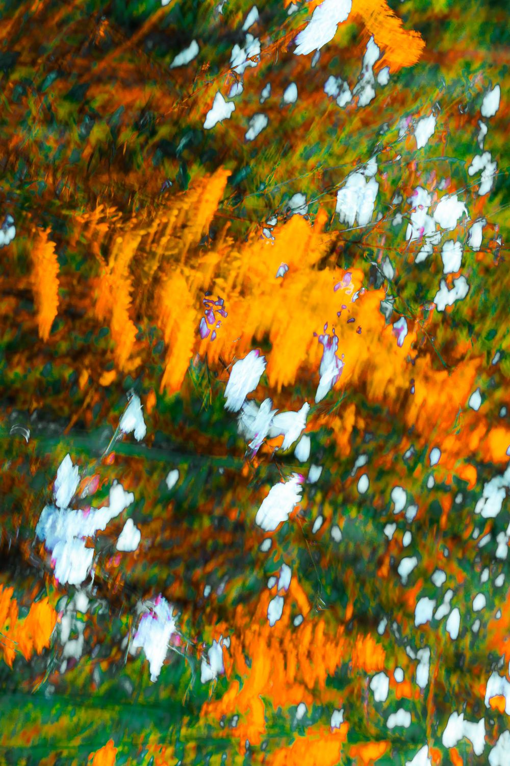 personal photography and digital media art