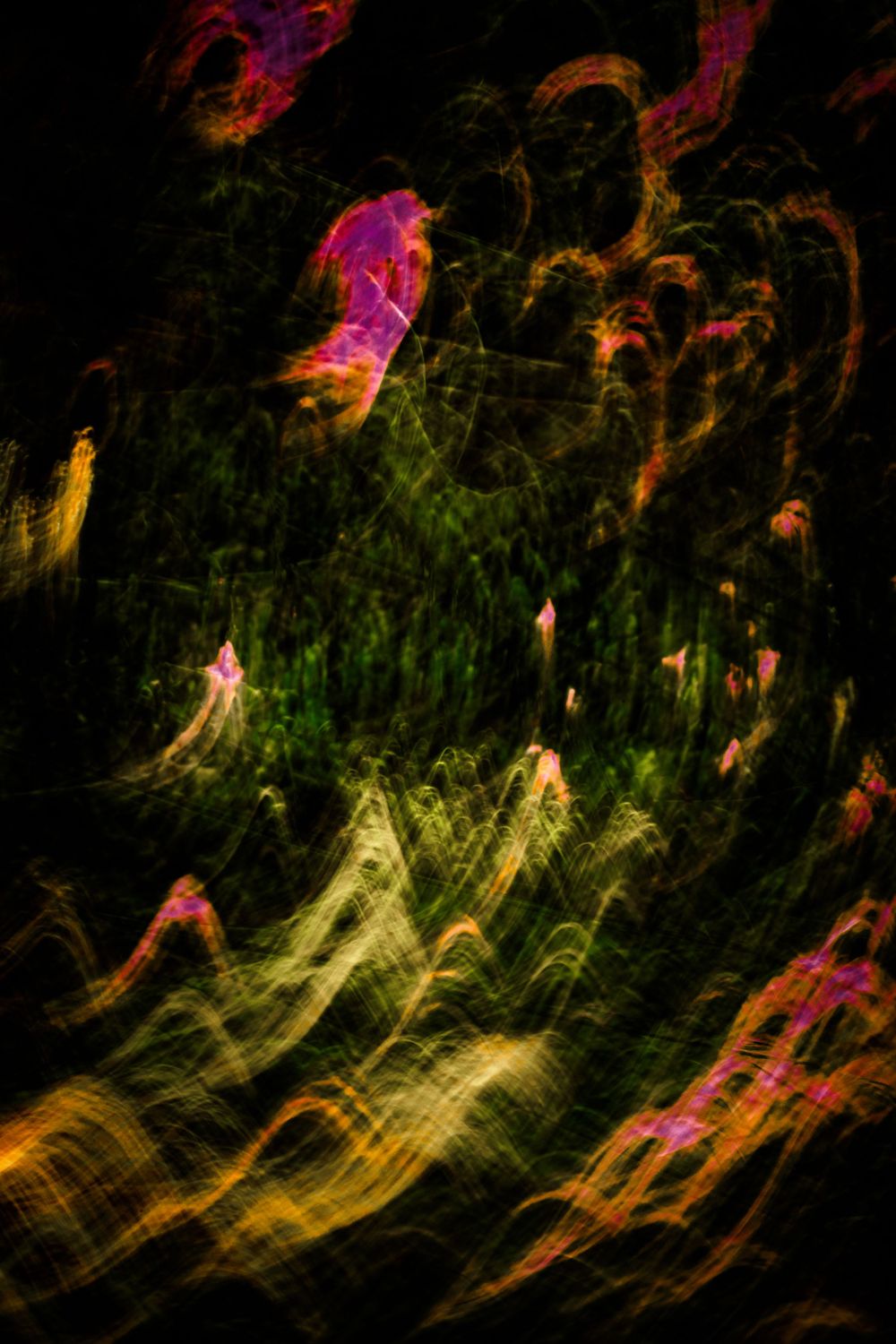 personal photography and digital media art