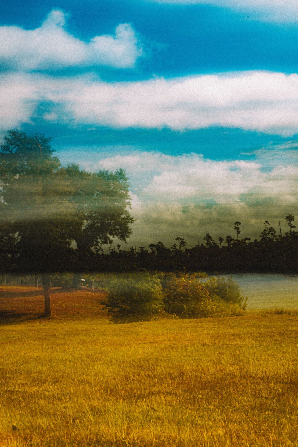 personal photography and digital media art