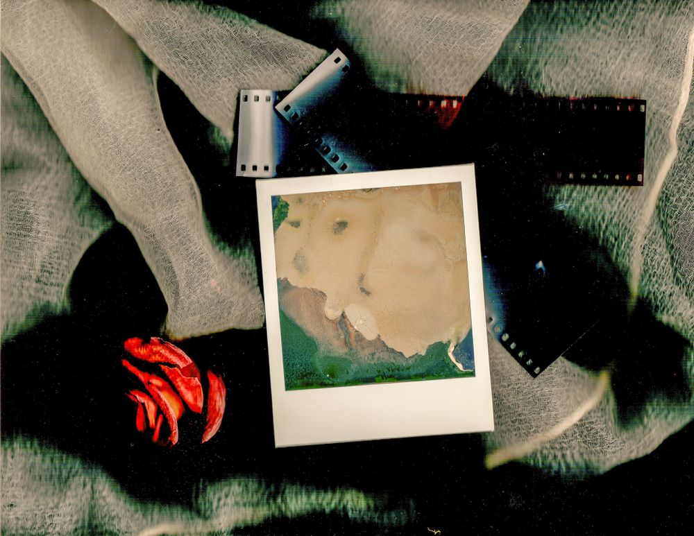personal photography and digital media art