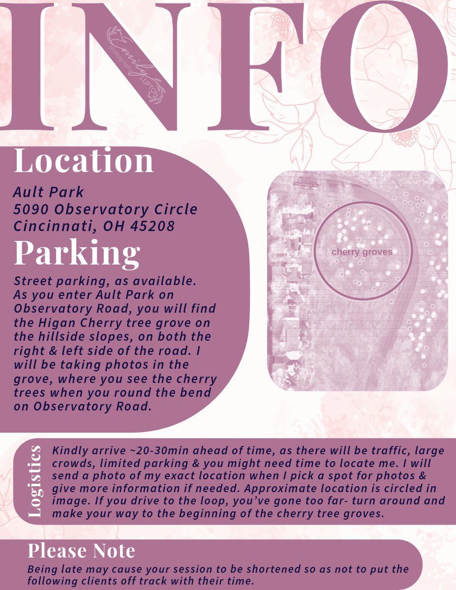 Detailed info guide for Cherry Blossom Minis at Ault Park, Cincinnati, with parking, logistics, and location map.