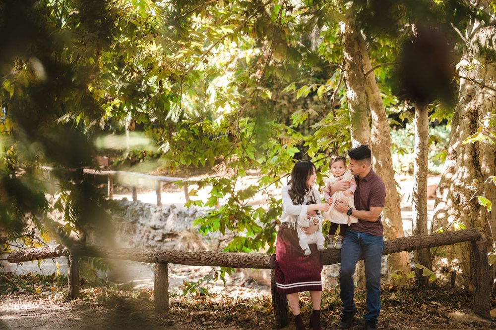 A scenic outdoor engagement photo session with a couple posing on a rustic wooden fence surrounded by lush greenery.