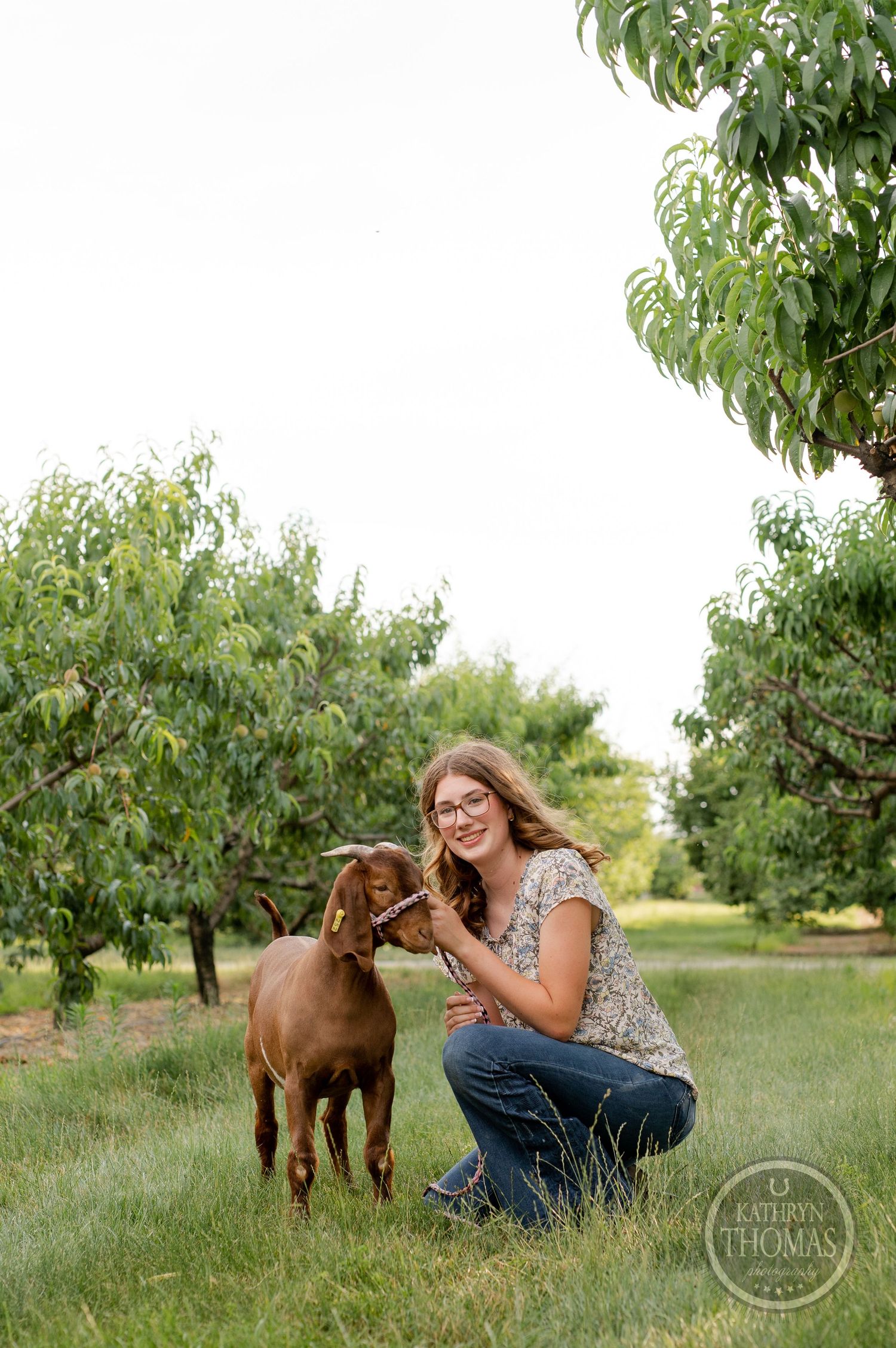Person kneeling next to brown goat in orchard setting with fruit trees.