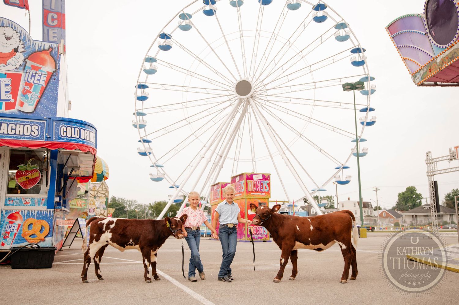 Two show cattle stand with their handlers in front of a large Ferris wheel at a fairground.