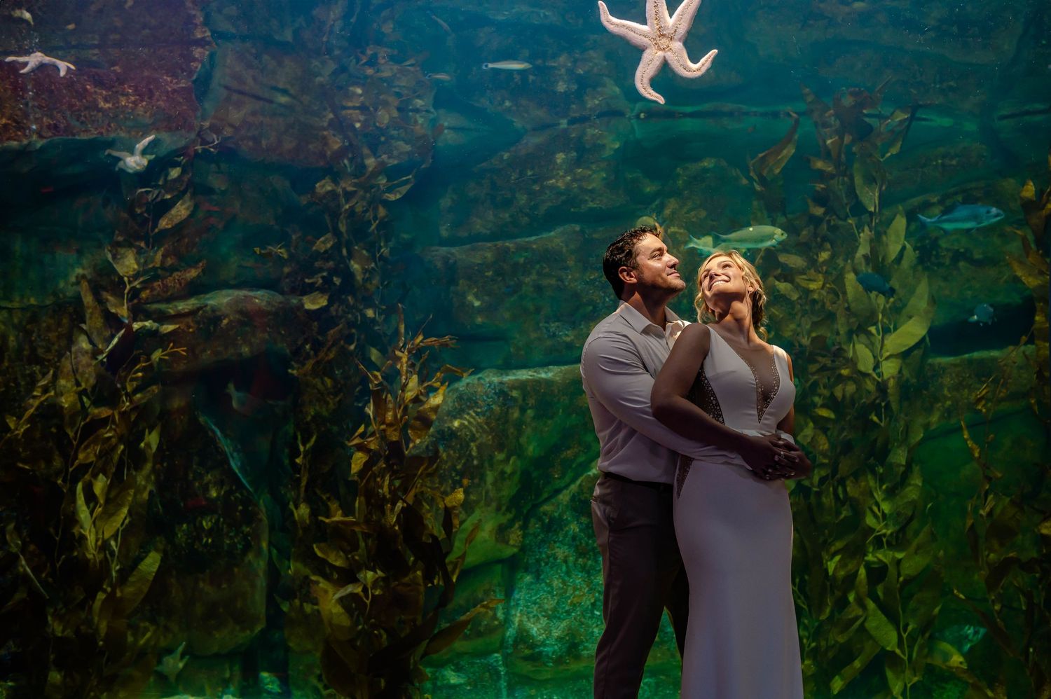 Couple embracing at an aquarium with kelp forest tank backdrop and a starfish floating above them.