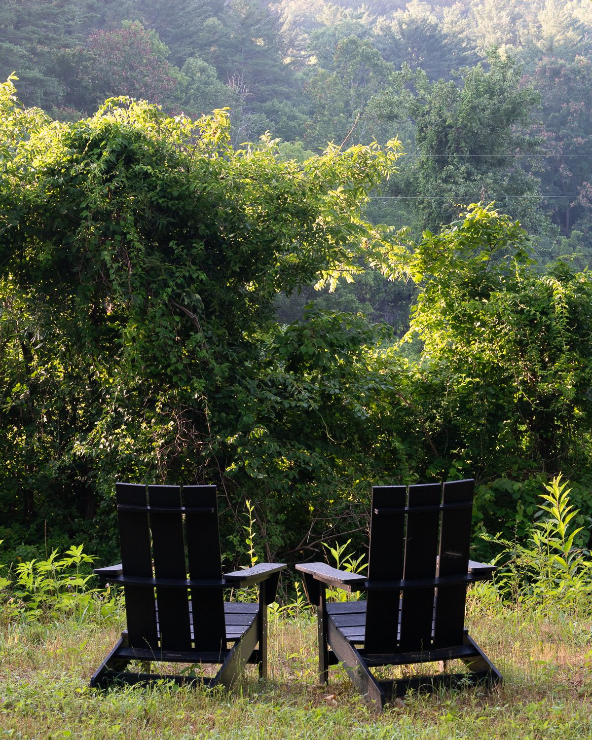 Two black Adirondack chairs facing lush green forest trees in a serene outdoor garden setting.