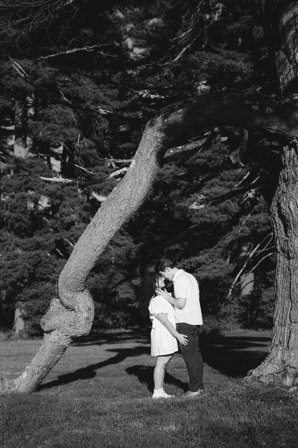 Black and white photo of a couple kissing under a large tree in a park, woman in white dress.