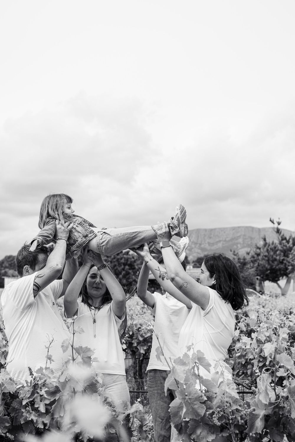 Photo artistique en noir et blanc d’un champ d’iris en Provence près de la Sainte-Victoire