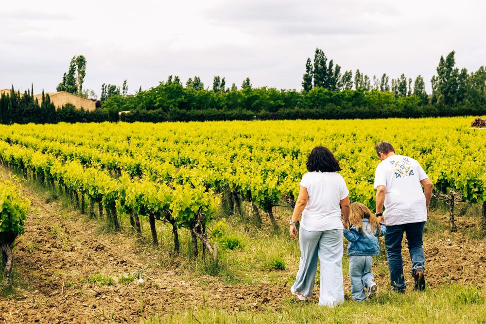 Parents et enfants entre vignes et iris pendant une séance photo famille près d’Aix-en-Provence