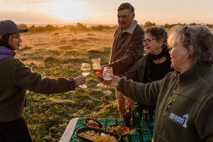Four people toasting with wine glasses at a golden sunset picnic in an open field.