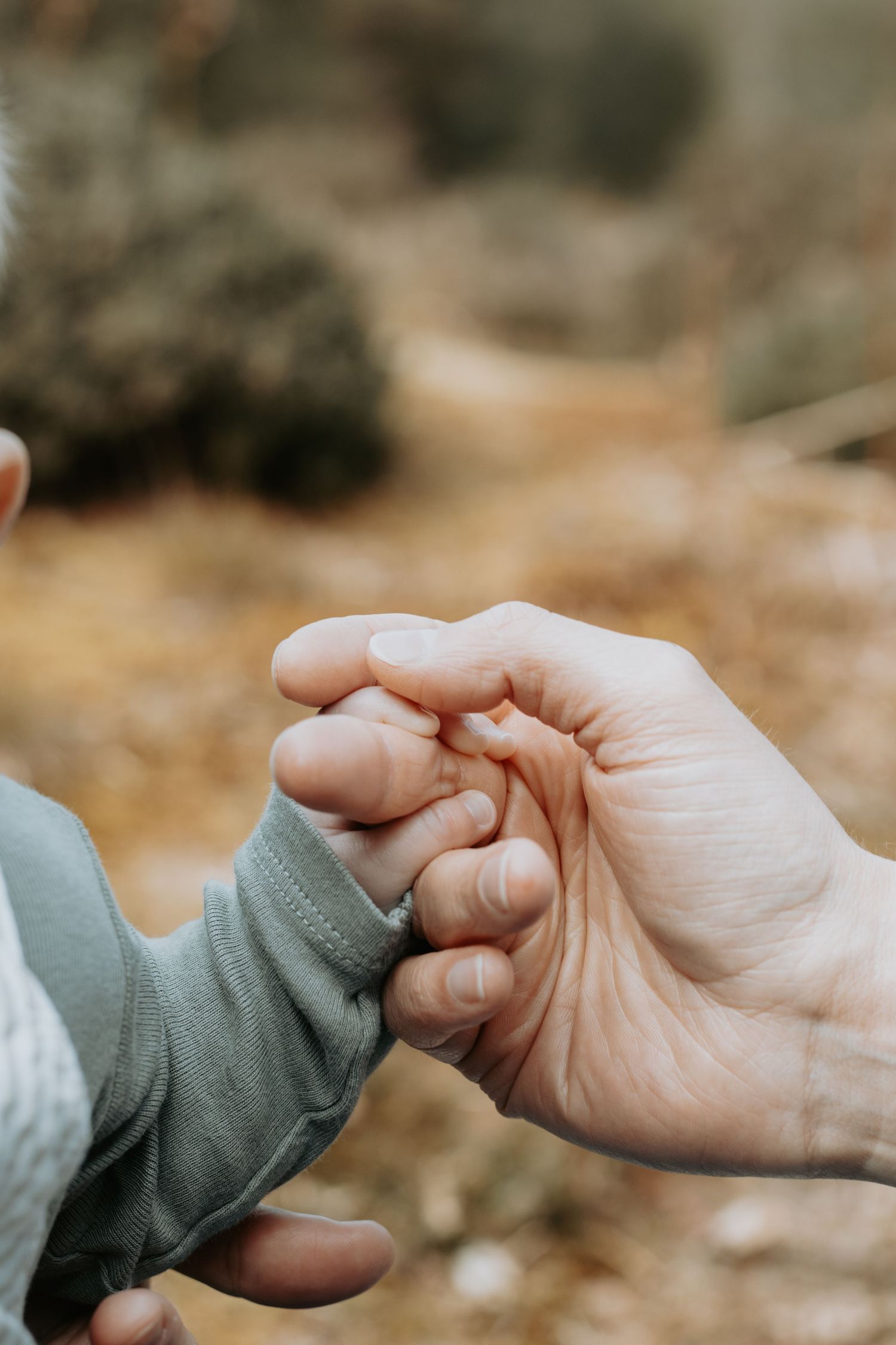family photography in Hampshire