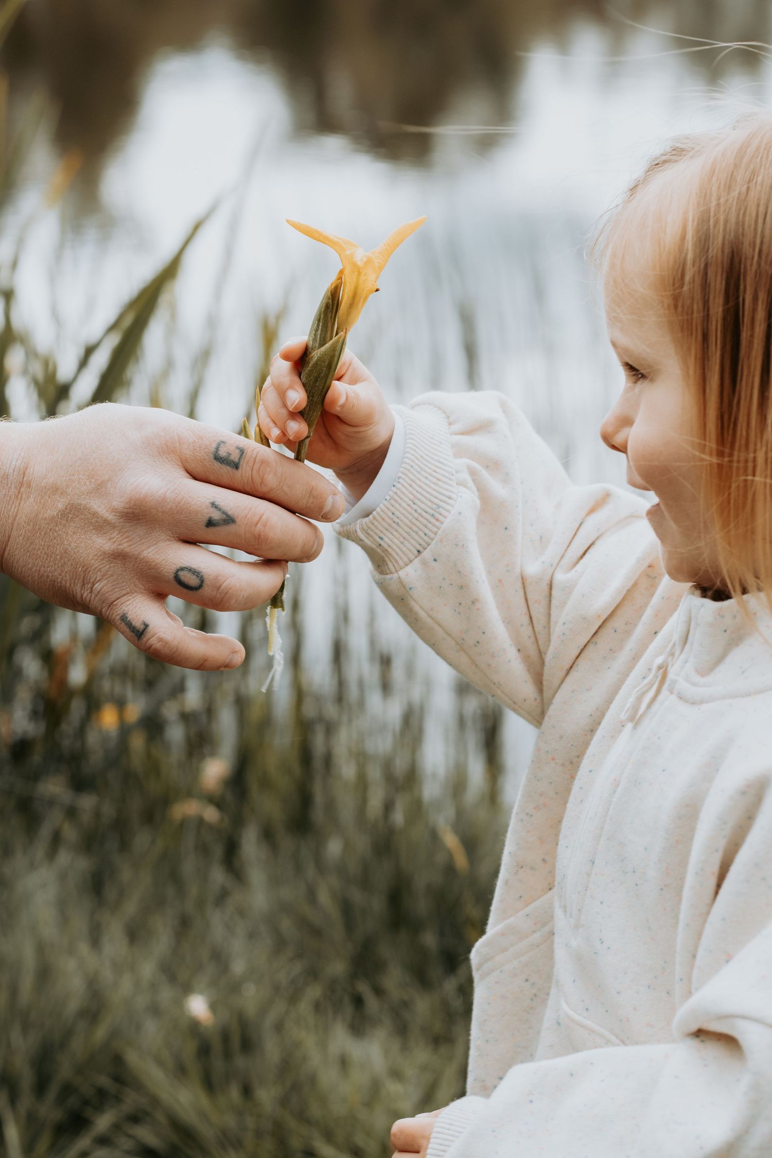 family photography in Hampshire