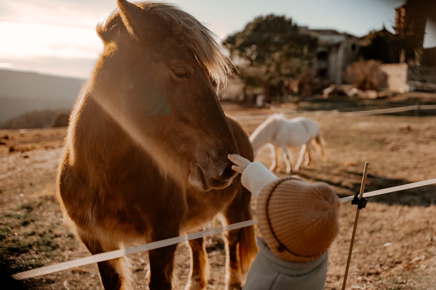 Niño interactuando con un caballo durante una sesión de fotografía familiar en un entorno natural de Girona.