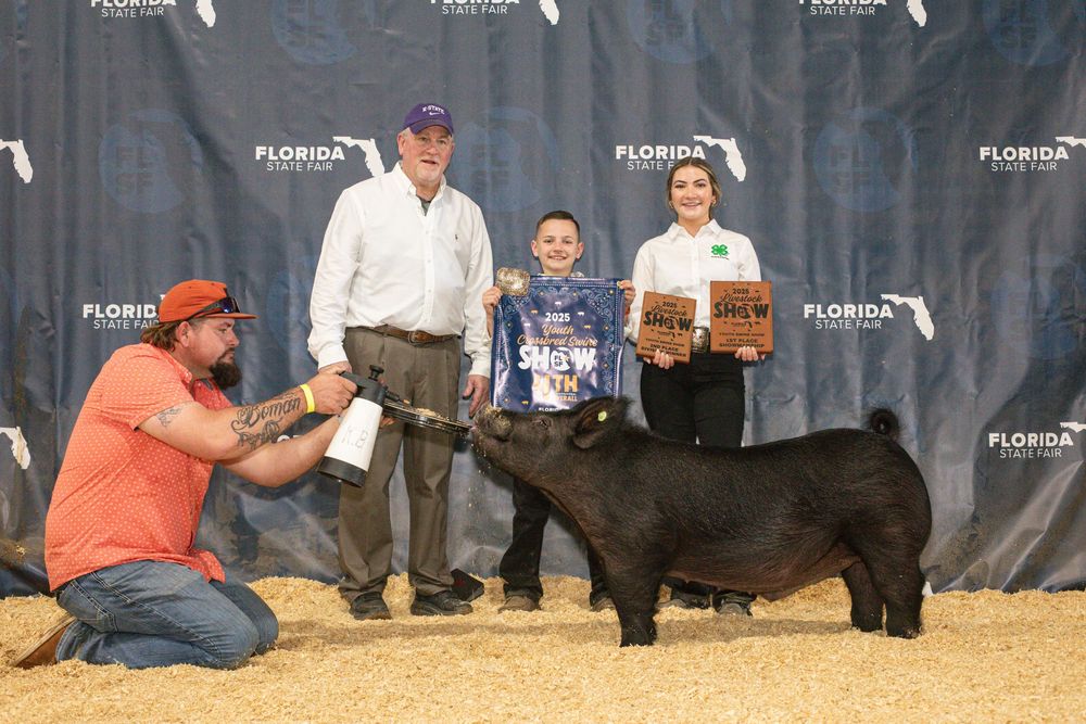 Young boy wins livestock award at Florida State Fair show with judges and trophy presenters beside a black pig.