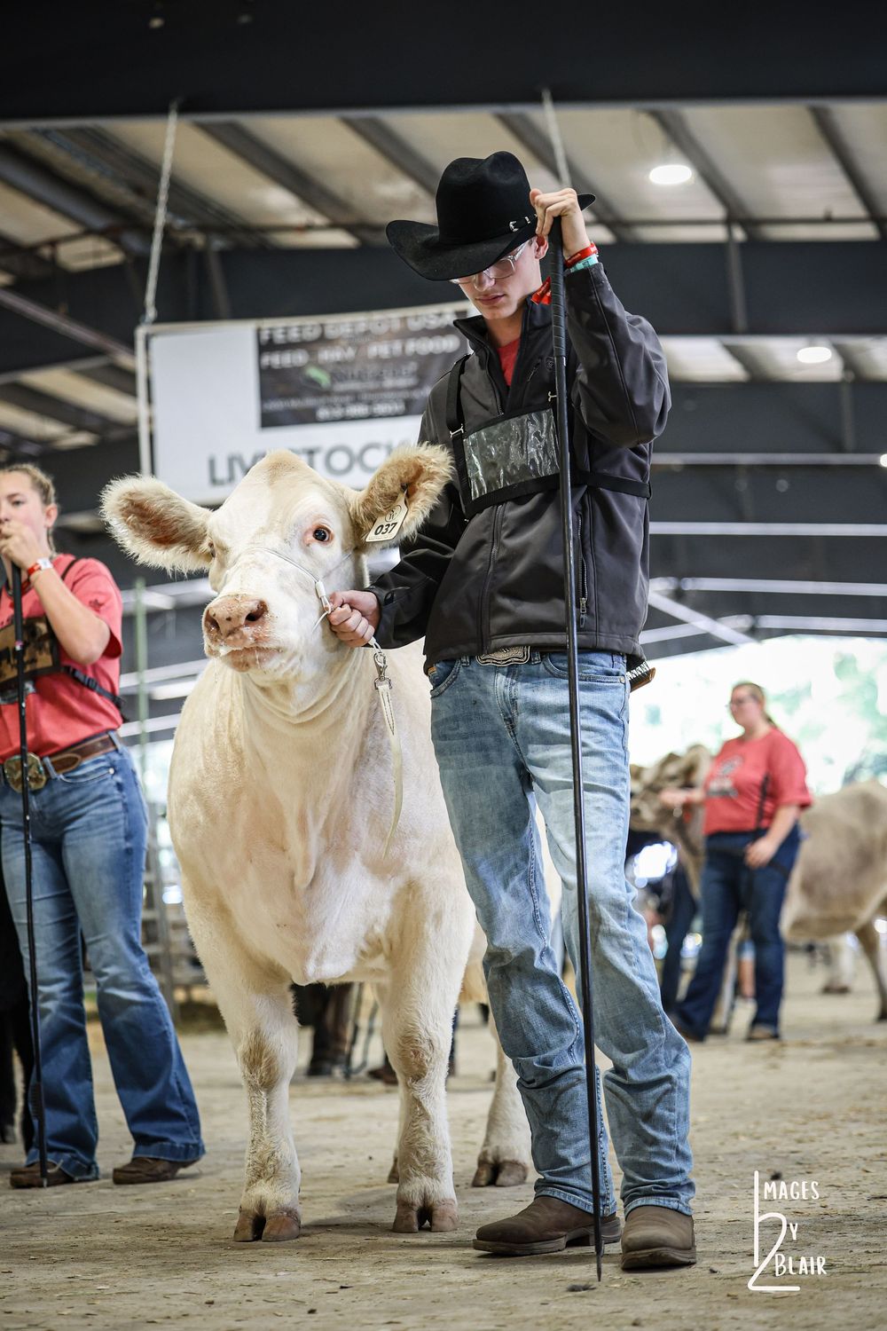 Young cowboy in black hat leads white Charolais cattle at livestock show competition indoors.