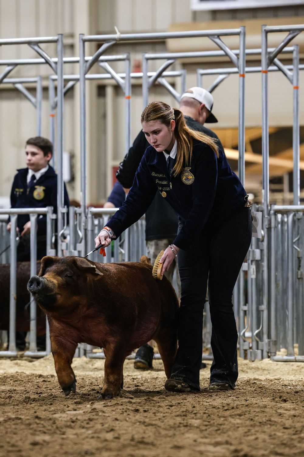 FFA member in blue jacket showing a brown pig at a livestock competition on a sandy arena floor.