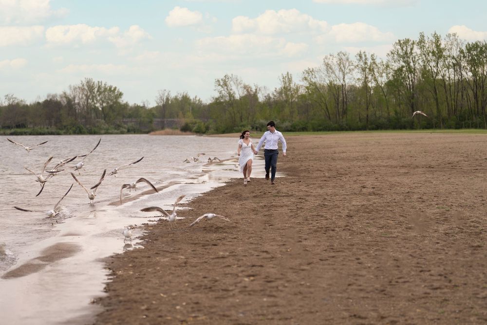 Couple walking hand in hand on sandy beach shore with seagulls flying around them near tree-lined waterfront.