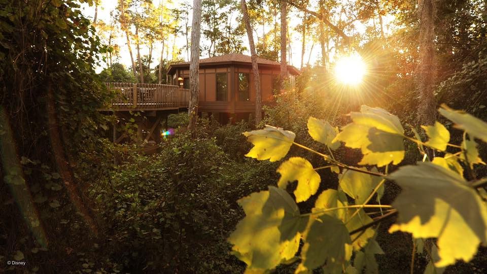 Rustic cabin nestled among trees at sunset with golden light filtering through leaves.
