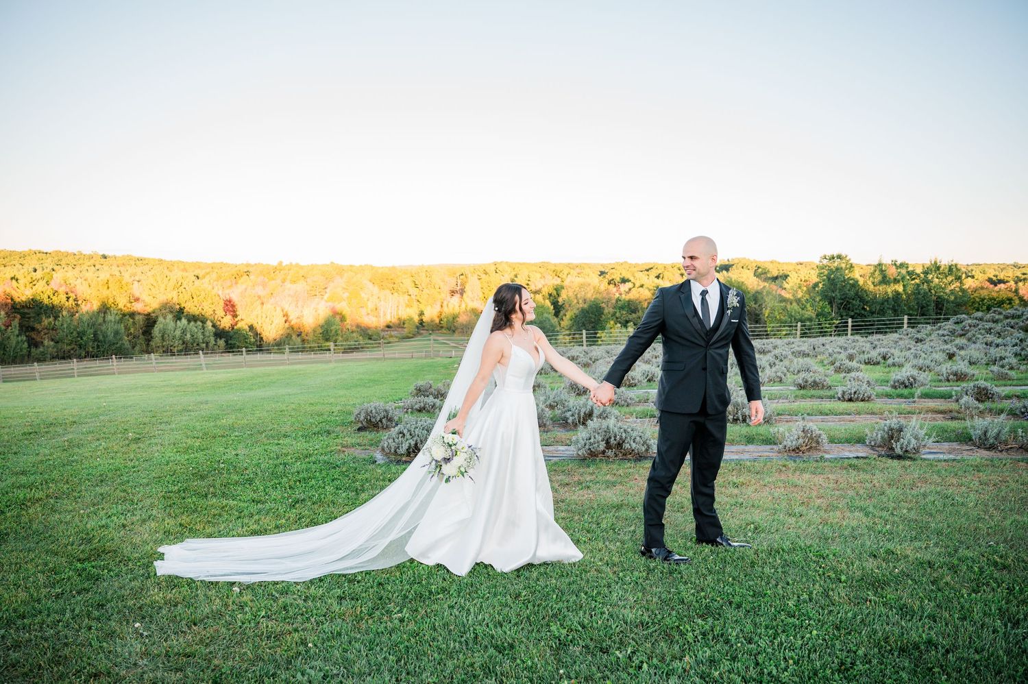 Bride and groom hold hands in a lush green field at sunset, with rolling hills and trees in the background at the Farm at Summit Wynds, MA.