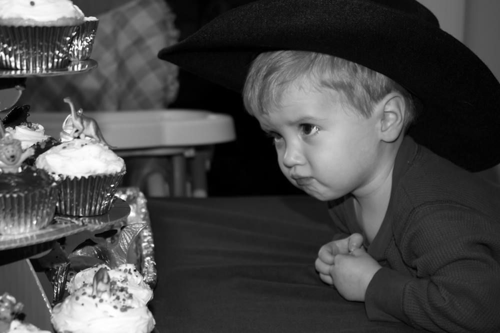 A toddler eyes a display of cupcakes.