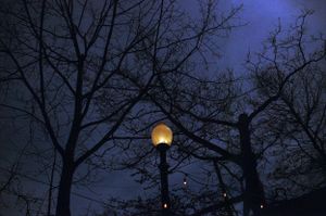 Glowing street lamp illuminates bare winter trees against a dramatic twilight blue sky.
