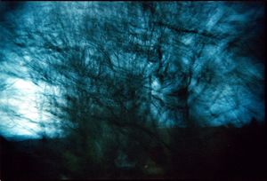 Abstract blurred blue toned photograph of dark tree branches creating an eerie atmospheric effect.