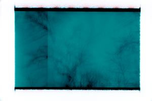 Abstract teal and black film negative image showing faint tree branches against a turquoise background.